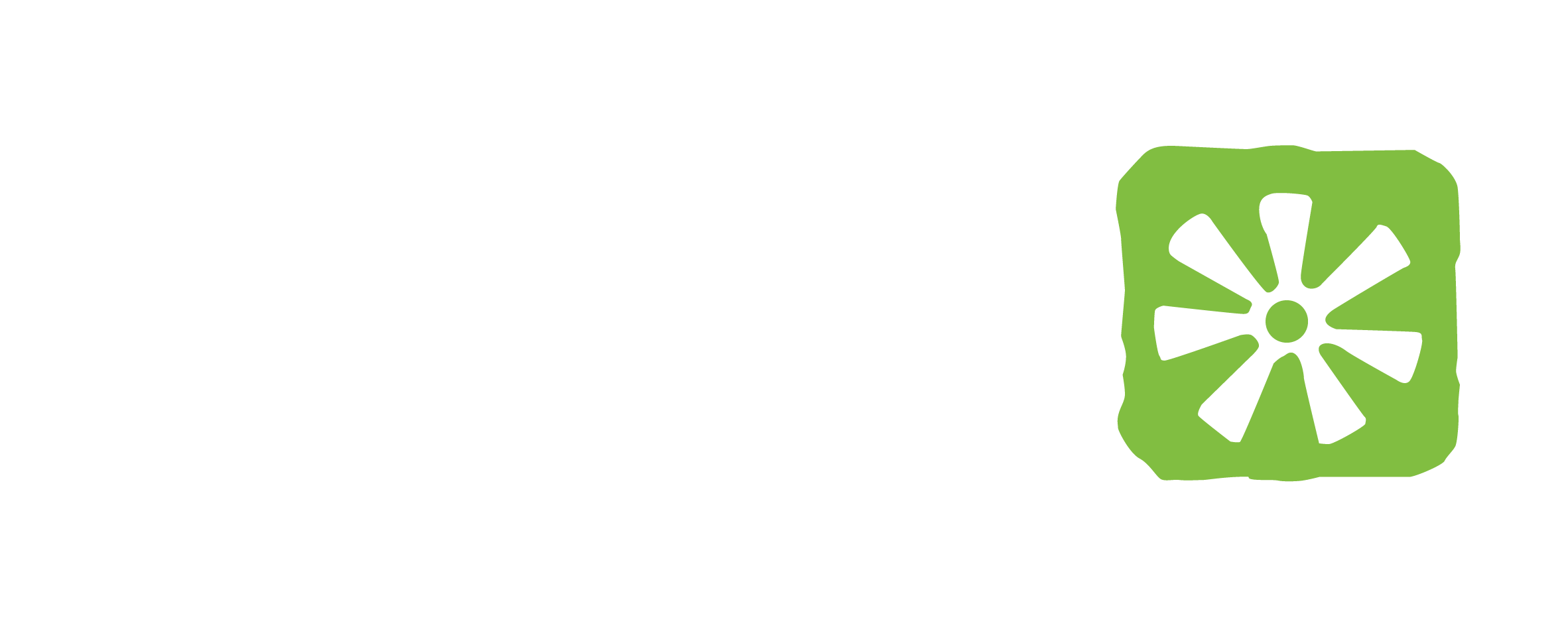 Camara Education Ethiopia Logo.