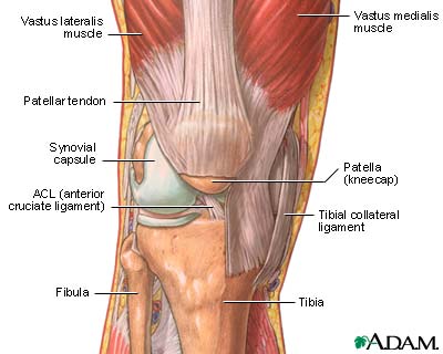 The structure of a joint