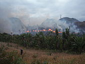 Burning Malagasy rainforest