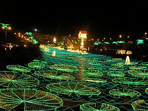 Christmas in Medellin, Colombia.