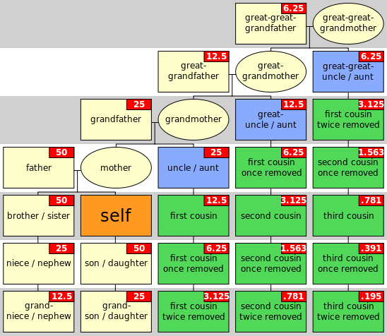 File:CousinTree kinship.svg