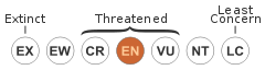 Status iucn3.1 EN.svg